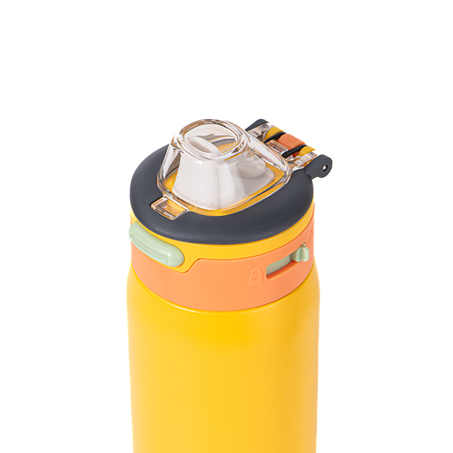sports stainless steel water bottle (5)